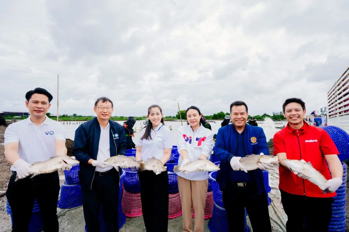 CP AXTRA Public Company Limited, an operator of Asia’s leading wholesaler and retailer “Makro” and “Lotus’s, continues to support Thai farmers by purchasing over 2.4 million kilograms of high...