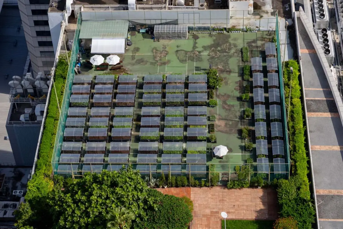 High above the city on the 26th floor, Centara Grand and Bangkok Convention Centre at CentralWorld continues to nurture one of Bangkok’s most innovative sustainability projects – a 1,296-square...