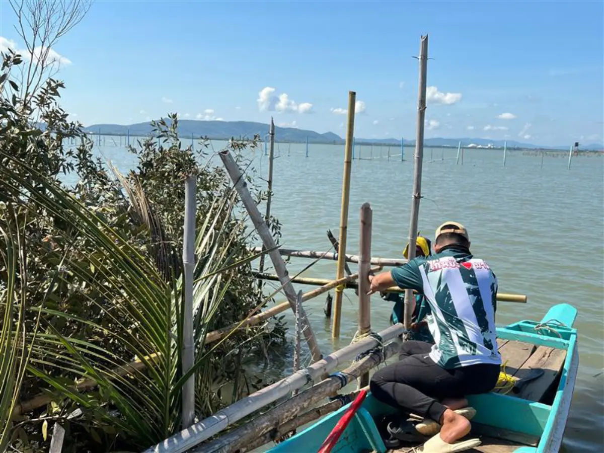 40 conservation groups and PTTEP-ED move forward with the Fish Home in Songkhla Lake and the Gulf of Thailand.