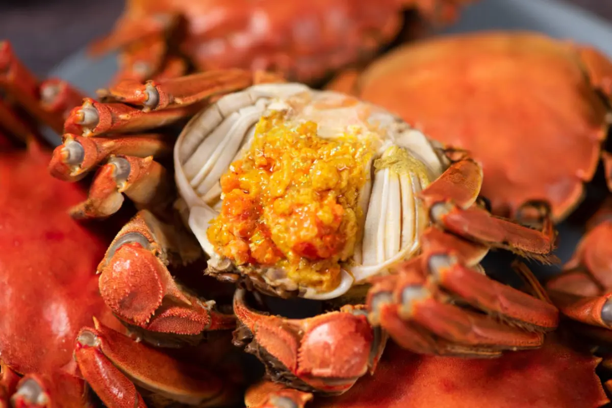 Summer Palace creates culinary highs this autumn with special Hairy Crab menu
