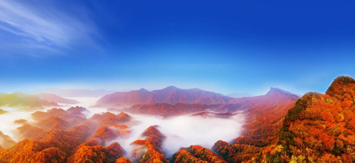 The Guangwushan Nuoshuihe Tourist Scenic Area The 23rd Sichuan Guangwu Mountain International Red Leaf Festival was grandly held at the Guangwushan Nuoshuihe Tourist Scenic Area in Bazhong City...