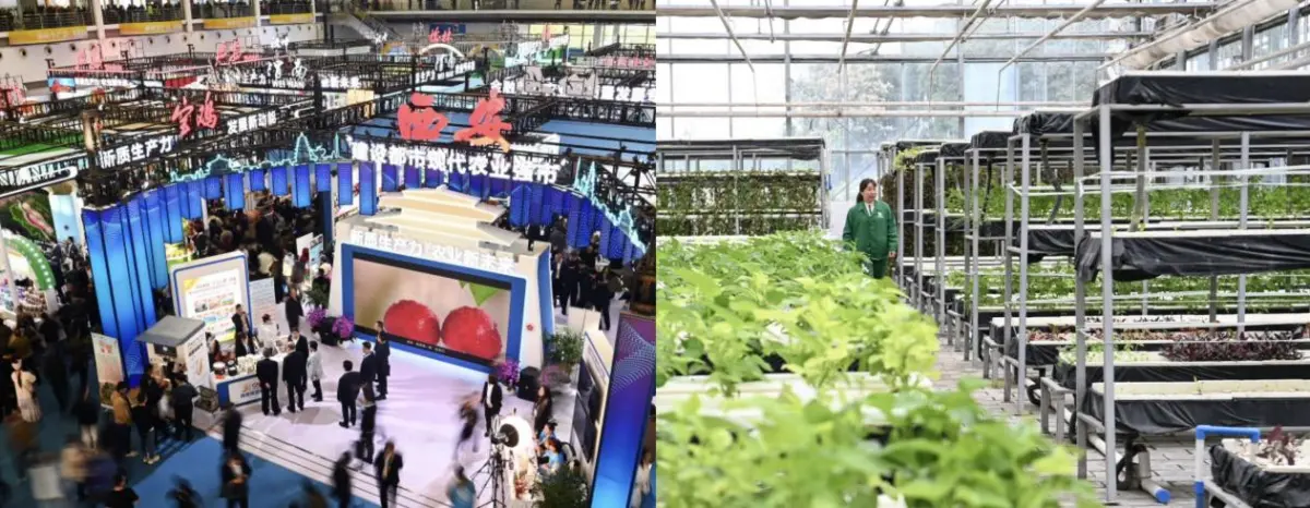 The 32nd China Yangling Agricultural Hi-Tech Fair The 32nd China Yangling Agricultural Hi-Tech Fair, themed “New Quality Productive Forces for a New Agricultural Future,” will take...