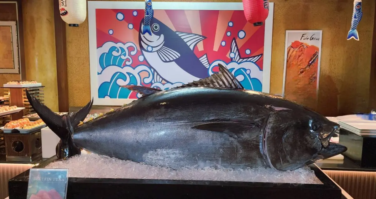 The Emerald Hotel has prepared a special menu for everyone who comes to enjoy the international buffet, featuring a live “Bluefin Tuna Cutting Show” also known as “Hon-Maguro”, which is the...