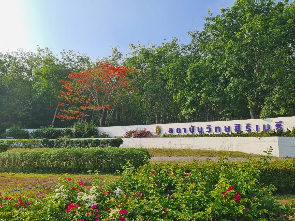 สมเด็จพระกนิษฐาธิราชเจ้า กรมสมเด็จพระเทพรัตนราชสุดา ฯ สยามบรมราชกุมารี เสด็จพระราชดำเนินพระราชทานปริญญาบัตรแก่ผู้สำเร็จการศึกษาระดับปริญญาดุษฎีบัณฑิตและมหาบัณฑิต จากสถาบันวิทยสิริเมธี...