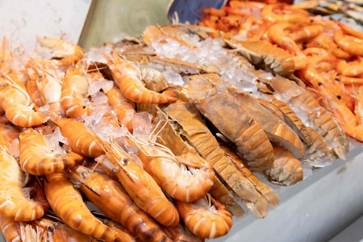 Ventisi Restaurant, the contemporary dining destination on the 24th floor of Centara Grand at CentralWorld, invites guests to discover a refreshed international lunch buffet experience that...