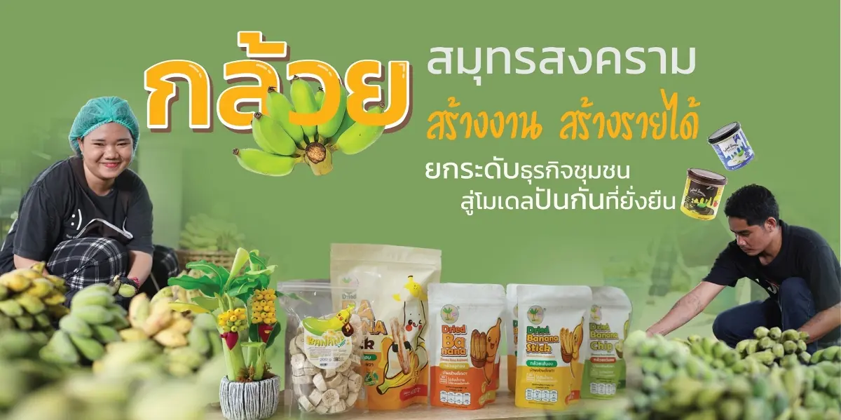 “สมุทรสงคราม” จังหวัดที่เล็กที่สุดของประเทศไทย โดดเด่นในฐานะเมืองผลไม้ โดยเฉพาะมะพร้าว ลิ้นจี่ และส้มโอ แต่ยังมีของดีอีกอย่างหนึ่ง คือ “กล้วย” ที่มักถูกมองว่าเป็นเพียงพืชปลูกแซมไว้แก้ขัดในสวนผล...