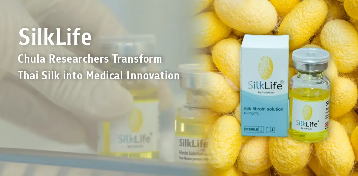 SilkLife: Chula Researchers Transform Thai Silk into Medical Innovation