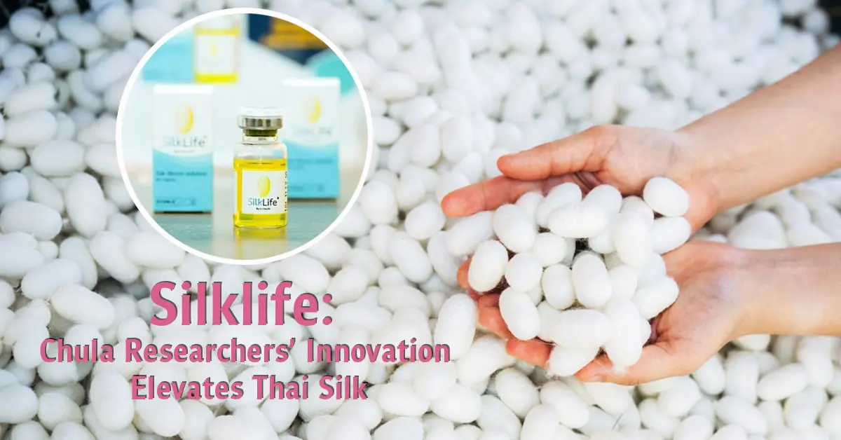 Researchers at Chulalongkorn University are redefining the role of Thai silk by developing silk protein into a versatile platform for medical products, aiming to reduce Thailand’s reliance...