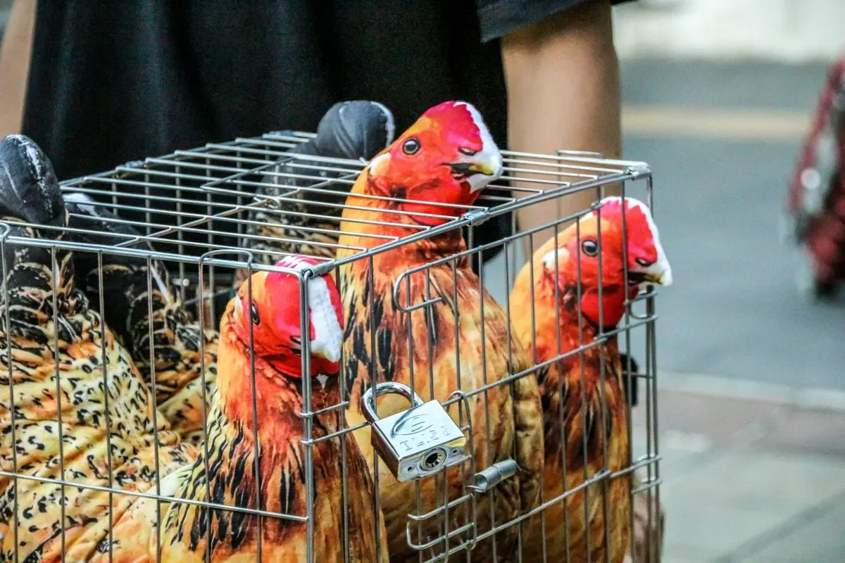 ท่ามกลางกระแสการตื่นตัวด้านจริยธรรมอาหารทั่วโลก กลุ่มผู้รณรงค์ด้านสวัสดิภาพสัตว์ในประเทศไทยได้จัดกิจกรรมสื่อสารสาธารณะเชิงสัญลักษณ์ เพื่อเรียกร้องให้ยักษ์ใหญ่ในอุตสาหกรรมอาหารและการบริการ...