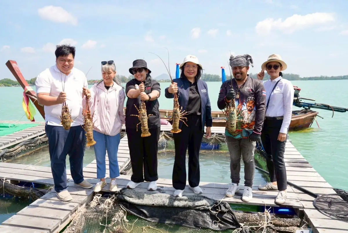 กรมทรัพย์สินทางปัญญาลงพื้นที่จังหวัดภูเก็ต พบผู้ประกอบการประมงท้องถิ่นเพื่อติดตามและตรวจเยี่ยมกระบวนการผลิตสินค้าสิ่งบ่งชี้ทางภูมิศาสตร์ (GI) “กุ้งมังกร 7 สีภูเก็ต” วัตถุดิบคุณภาพพรีเมียมจากท้องทะ...