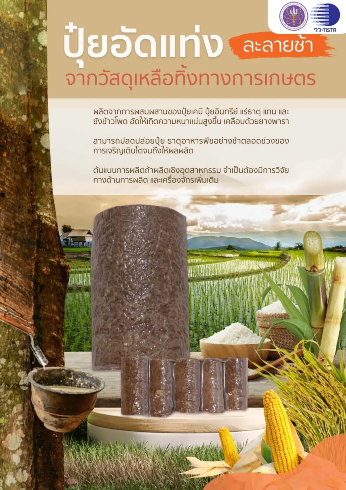 กระทรวงการอุดมศึกษา วิทยาศาสตร์ วิจัยและนวัตกรรม (อว.) โดย สถาบันวิจัยวิทยาศาสตร์และเทคโนโลยีแห่งประเทศไทย (วว.) วิจัยและพัฒนา “ปุ๋ยอัดแท่ง…ละลายช้า” เพิ่มมูลค่าวัสดุเหลือทิ้งทางการ...