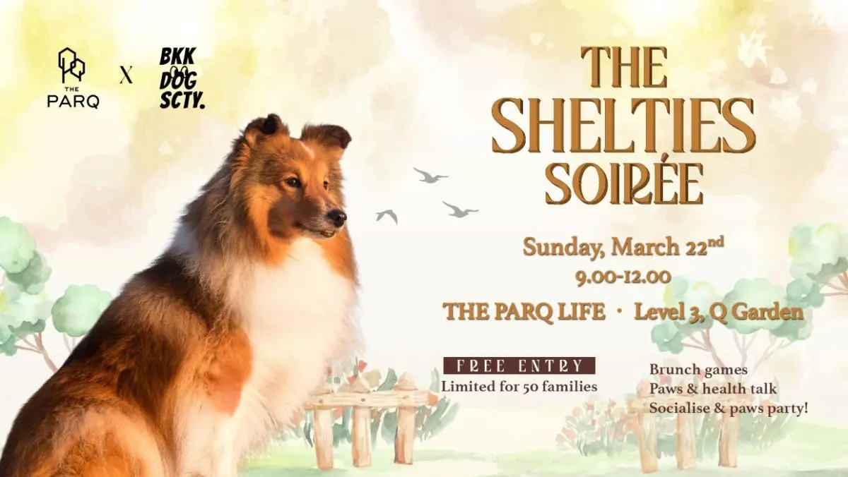 Calling All Fluffy Shelties to The PARQ! “The Shelties Soirée” A Pet Wellness &amp; Community Experiences
