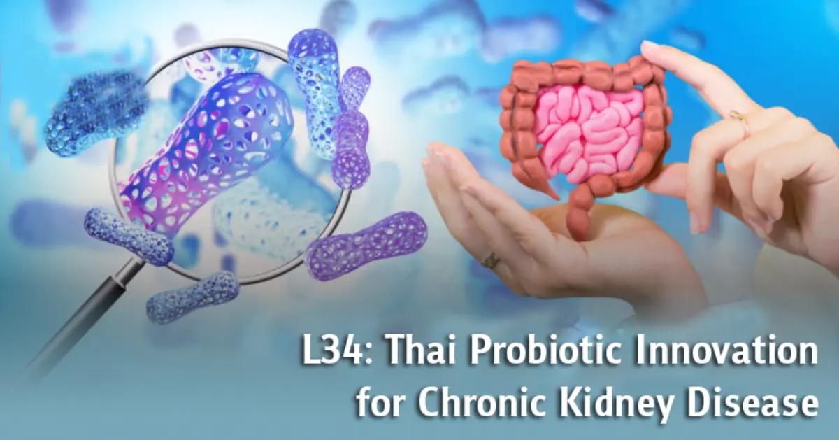 Researchers from the Faculty of Medicine at Chulalongkorn University have identified a native probiotic strain, Lactobacillus rhamnosus L34, that may help reduce inflammation and toxin buildup...