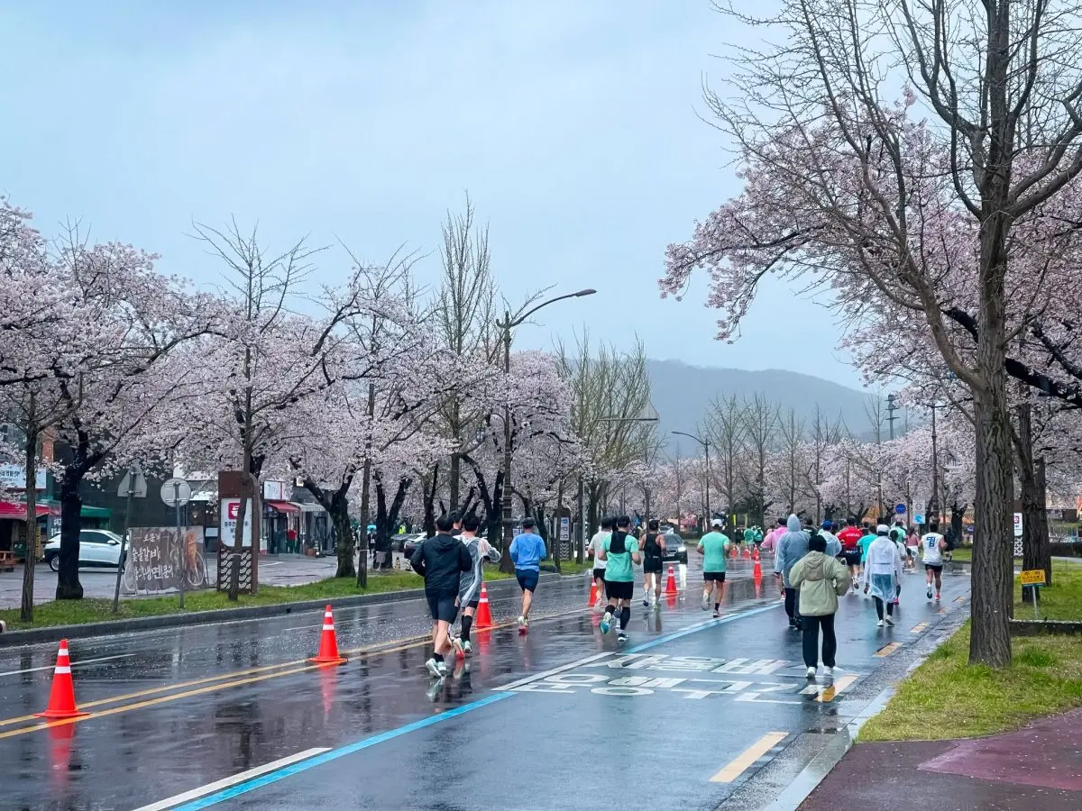 พร้อมต่อยอดสู่ฤดูใบไม้เปลี่ยนสี เคทีซี หรือ บริษัท บัตรกรุงไทย จำกัด (มหาชน) ร่วมกับ องค์การส่งเสริมการท่องเที่ยวเกาหลี (KTO) ประจำประเทศไทย เผยความสำเร็จของการรุกตลาดการท่องเที่ยวเชิงกีฬา ...