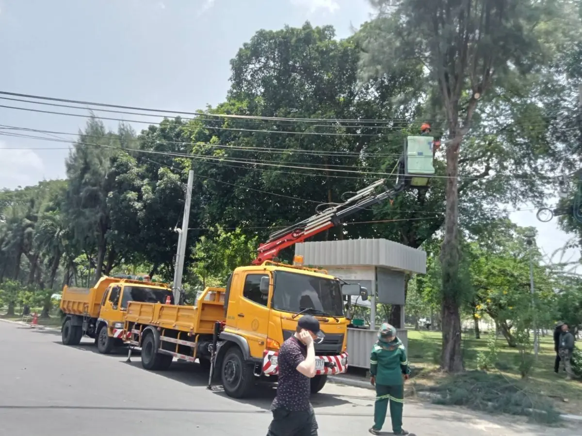 กทม. เฝ้าระวัง-ตรวจสอบความมั่นคงแข็งแรงของต้นไม้ขนาดใหญ่ในพื้นที่สาธารณะ เตรียมรับสถานการณ์พายุฤดูร้อน