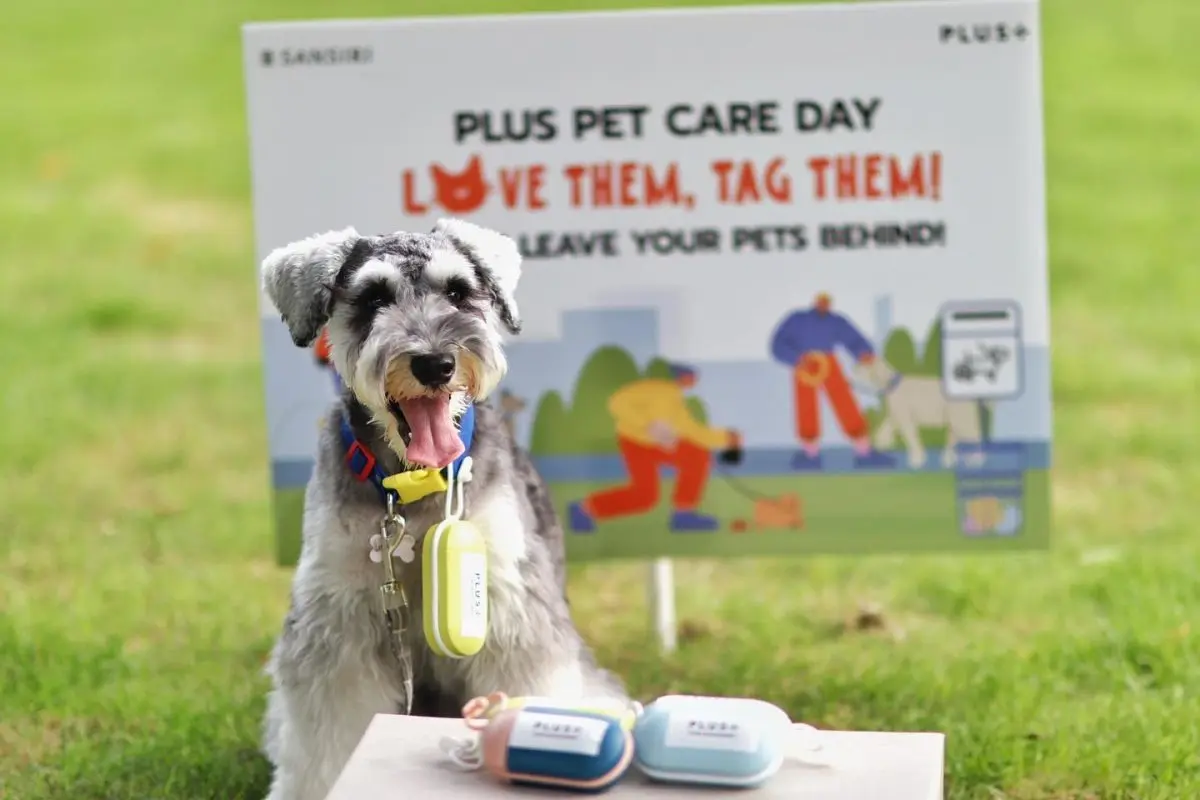 พลัส พร็อพเพอร์ตี้ (ในเครือแสนสิริ) ผู้เชี่ยวชาญด้านการบริหารจัดการอสังหาริมทรัพย์และการอยู่อาศัยครบวงจร เปิดแนวทางดูแลโครงการ Pet Welcome ตอบโจทย์การขยายตัวของกลุ่มคนเลี้ยงสัตว์...