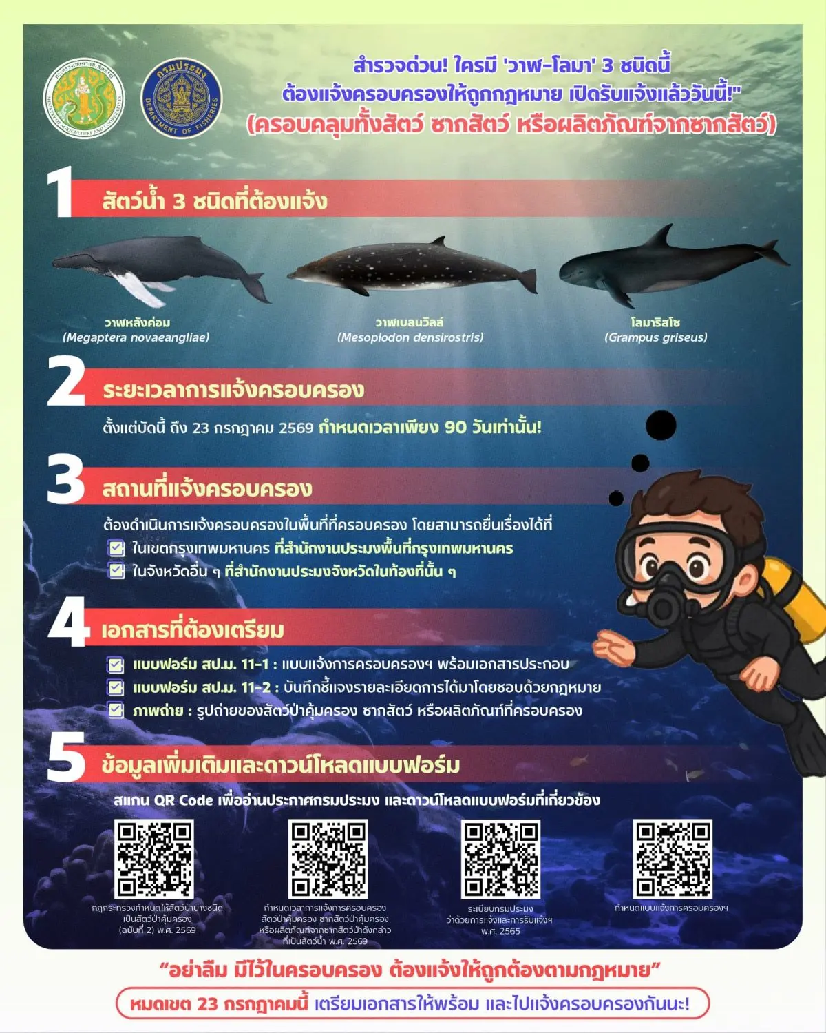 กรมประมง…เปิดให้ผู้ครอบครองสัตว์น้ำคุ้มครอง 3 ชนิด “วาฬหลังค่อม วาฬเบลนวิลล์ โลมาริสโซ” มายื่นขออนุญาตครอบครองได้ตั้งแต่บัดนี้ – 23 ก.ค. 69