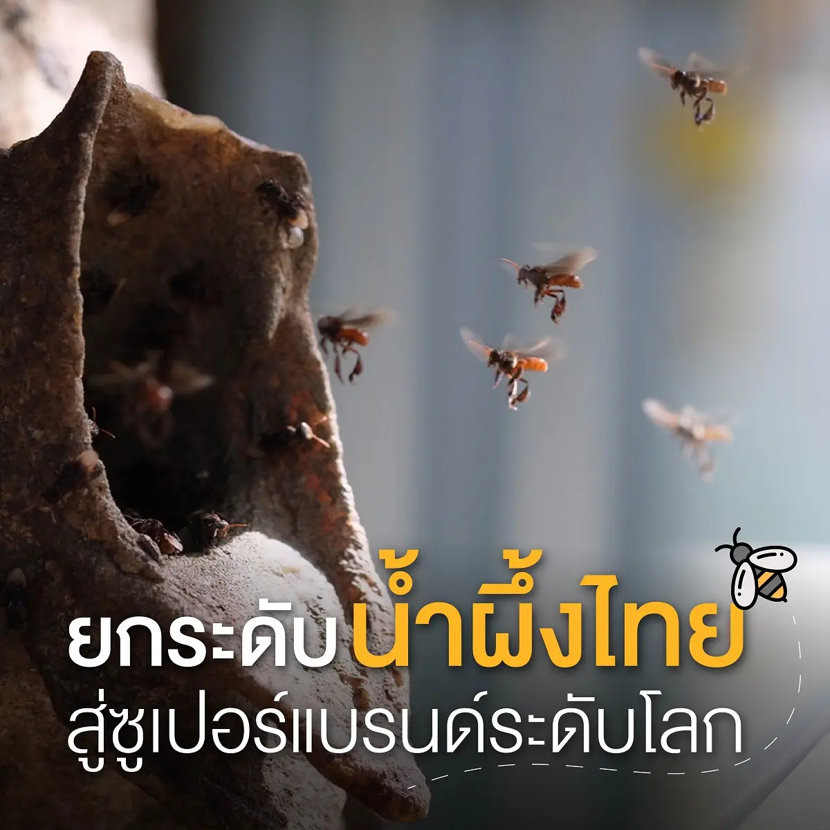 บพท. หนุนกลุ่ม SIE คลัสเตอร์ชันโรง สร้างความเข้มแข็งและยกระดับห่วงโซ่มูลค่าของอุตสาหกรรมน้ำผึ้งไทย ทลายข้อจำกัดมาตรฐานน้ำผึ้งสากล ฝ่าวิกฤตน้ำผึ้งปลอม ผลักดันน้ำผึ้งไทยให้โลดแล่นในตลาดน้ำผึ้ง...