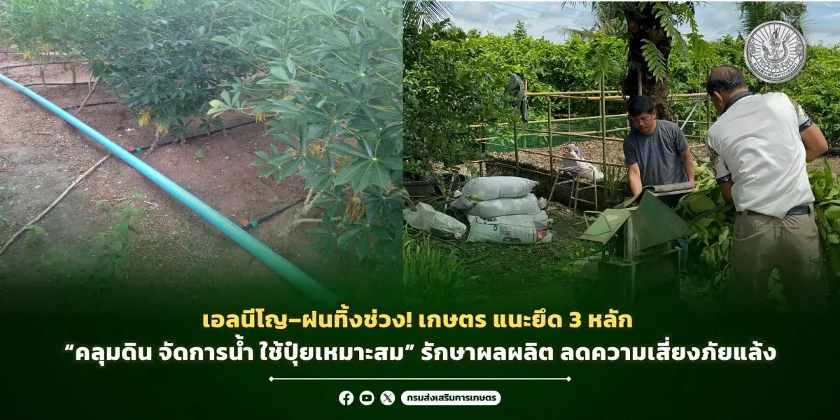 จากการคาดการณ์สถานการณ์ ENSO ที่อาจส่งผลให้เกิดภาวะเอลนีโญและฝนทิ้งช่วงในฤดูฝนปี 2569 กรมอุตุนิยมวิทยาระบุว่า ปริมาณฝนรวมของประเทศไทยในเดือนมิถุนายน 2569 มีแนวโน้มต่ำกว่าค่าปกติประมาณร้อยละ...