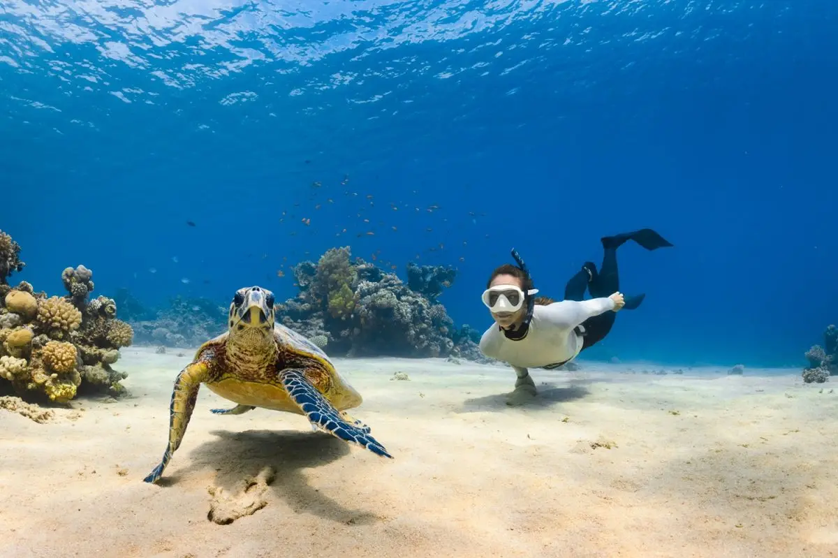 A family freediving retreat at Avani+ Fares Maldives will be followed by a four-night Into the Blue experience at NH Collection Maldives Reethi Following the success of her 2025 freediving retreat...