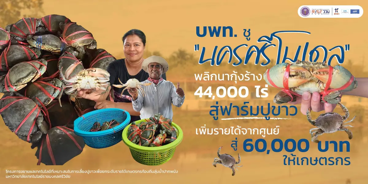 ลุ่มน้ำปากพนัง จังหวัดนครศรีธรรมราช เคยเป็นแหล่งเพาะเลี้ยงสัตว์น้ำสำคัญของประเทศ แต่ปัจจุบันมีบ่อกุ้งร้างกว่า 44,000 ไร่ จากผลกระทบของโรคระบาด ต้นทุนการเลี้ยงที่สูง และภาระหนี้สิน ทำให้...