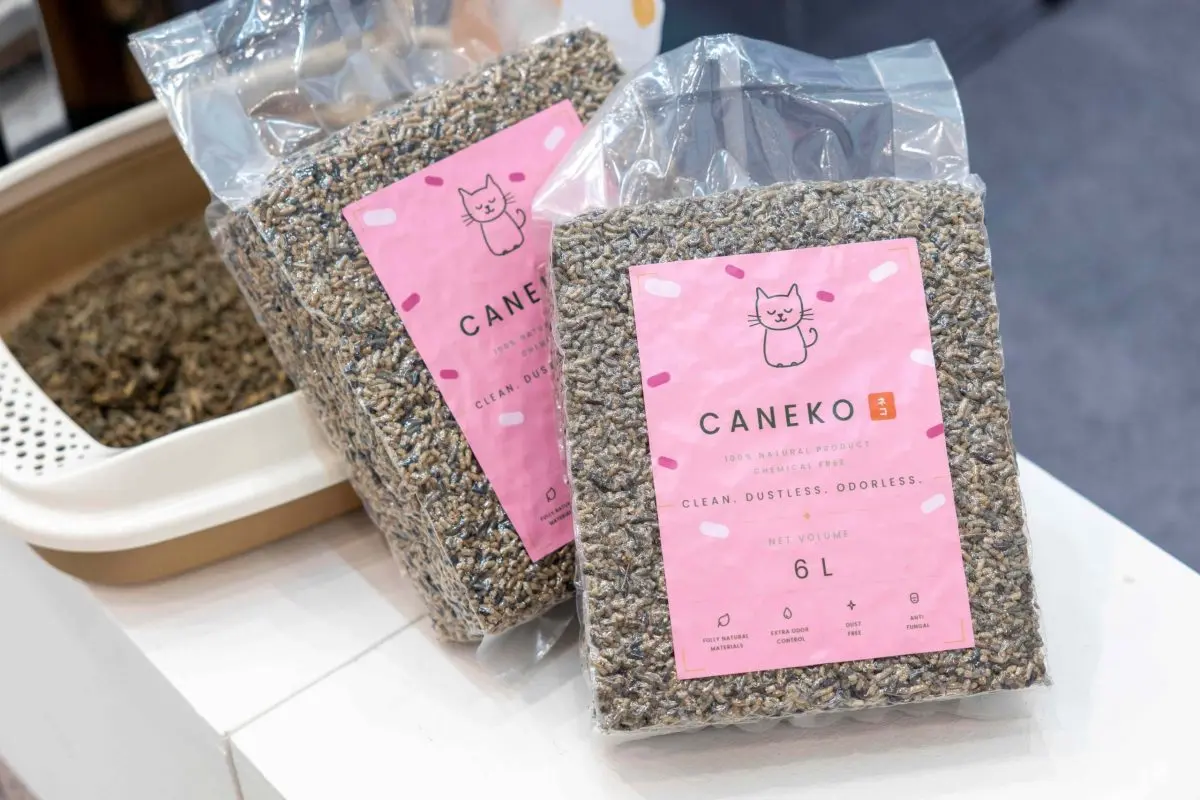 ไอเดียสุดเจ๋ง Caneko ทรายแมวจากชานอ้อย ผลิตภัณฑ์นวัตกรรมโดยกลุ่มเด็กมัธยม