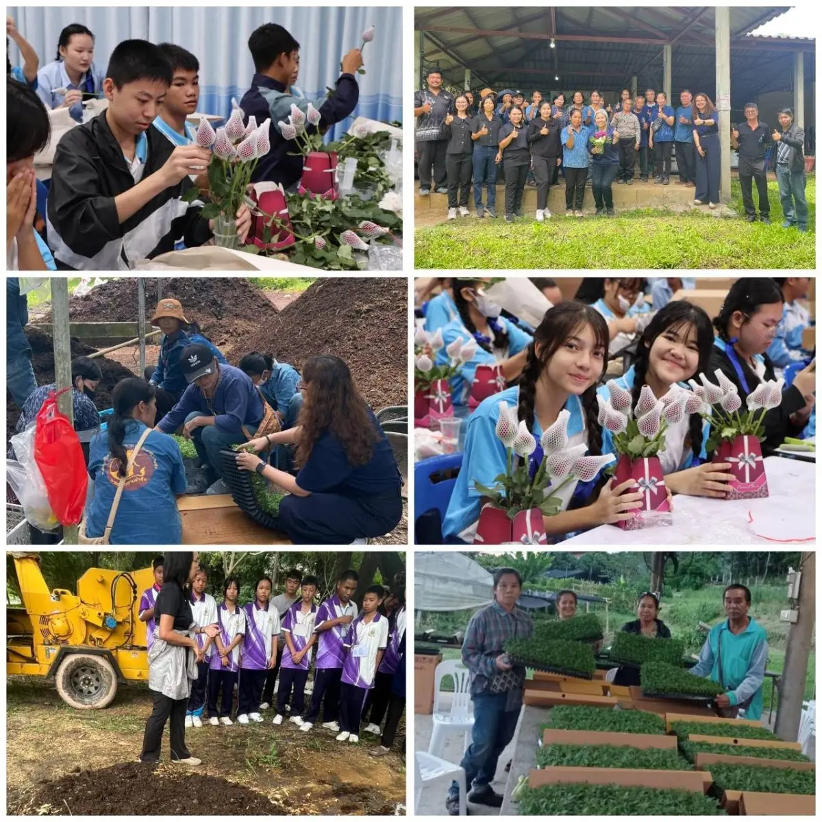 กระทรวงการอุดมศึกษา วิทยาศาสตร์ วิจัยและนวัตกรรม (อว.) โดย ศูนย์เชี่ยวชาญนวัตกรรมเกษตรสร้างสรรค์ (ศนก.) สถาบันวิจัยวิทยาศาสตร์และเทคโนโลยีแห่งประเทศไทย (วว.) จัดการอบรมเชิงปฏิบัติการภายใต้...